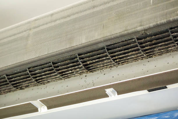 Best Air Duct Cleaning Near Me  in Indian Hills, NV
